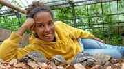 In der Auffangstation für Reptilien werden exotische Haustiere, wie diese Griechischen Landschildkröten, aufgenommen. In der Auffangstation für Reptilien werden exotische Haustiere, wie diese Griechischen Landschildkröten, aufgenommen.
