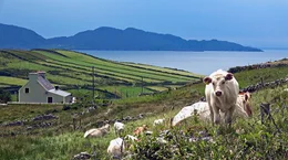 Die Beara-Halbinsel, sie liegt im S&uuml;dwesten von Irland.