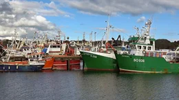 Der Fischereihafen von Killybegs.