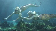 Lyla (Lucy Fry, l.) und Sirena (Amy Ruffle, r.) haben ein Schneckengehäuse gefunden. Damit können sie den Zauber brechen. Lyla (Lucy Fry, l.) und Sirena (Amy Ruffle, r.) haben ein Schneckengehäuse gefunden. Damit können sie den Zauber brechen.