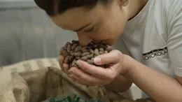 Der intensive Duft der Kakaobohnen geh&ouml;rt f&uuml;r Chocolatiers zur Qualit&auml;tspr&uuml;fung dazu. Die Reportage begleitet die Bohnen auf ihrem langen Weg vom Ursprung bis zur fertigen Schokolade in Europas Manufakturen.