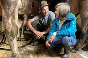 Annette Krause mit Sebastian Beck, dem Sebi, fr&uuml;h am Morgen beim Melken auf der Alpe Oberberg bei Immenstadt. Urlaub auf dem Bauernhof im Allg&auml;u pur.