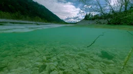 Nur wenige Fl&uuml;sse in Deutschland folgen noch einem nat&uuml;rlichen Flussbett wie hier die Isar.