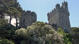 Glenveagh Castle.