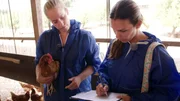 Gemeinsam mit ihrer Kollegin Angelika führt Annalina regelmäßig eine strenge Bonitätsprüfung bei den Tieren durch. Damit die externen Gesundheitskontrolleure später möglichst nichts mehr zu meckern haben. Gemeinsam mit ihrer Kollegin Angelika führt Annalina regelmäßig eine strenge Bonitätsprüfung bei den Tieren durch. Damit die externen Gesundheitskontrolleure später möglichst nichts mehr zu meckern haben.