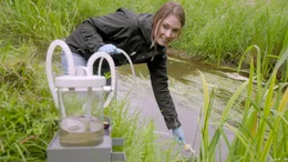 Charlotte Frie von der Universit&auml;t Duisburg-Essen nimmt eine Umwelt-DNA Probe in der Bade in Niedersachsen.
