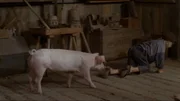 Michel (Jan Ohlsson) ist fleißig dabei, dem Schwein Kunststücke beizubringen. Michel (Jan Ohlsson) ist fleißig dabei, dem Schwein Kunststücke beizubringen.