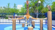 Dank des intensiven Trainings bei der Zen-Meister-Schildkr&ouml;te macht das Giraffenkind enorme Fortschritte.