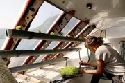 Crewmitglied &Eacute;laine Le Floch interessiert sich f&uuml;r althergebrachte Technik und traditionelles Know-How.