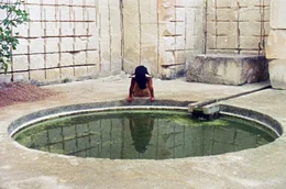 Moon (Moon Guo Barker) blickt in das tr&uuml;be, gr&uuml;n gef&auml;rbte Wasser eines alten, verlassenen Pools.