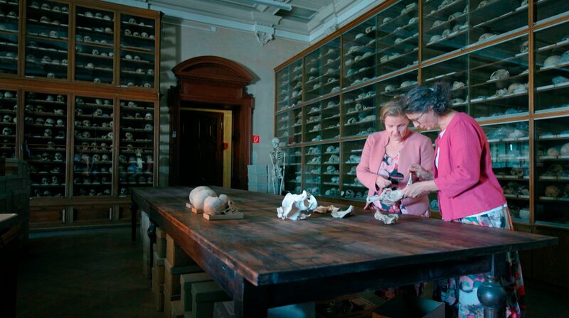 Das Geheimnis der Urzeitmütter – Gemeinschaftliche Kindererziehung (D, 2026)