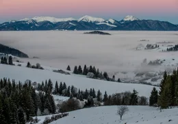 Die Slowakei hat sich in Teilen ihre Urspr&uuml;nglichkeit bewahrt, was sich schon darin &auml;u&szlig;ert, das noch mehrere Hundert W&ouml;lfe und B&auml;ren durch uralte W&auml;lder streifen. "Wilde Slowakei" ist ein faszinierender Ausflug in eines der sch&ouml;nsten und &uuml;berraschendsten L&auml;nder Mitteleuropas.
