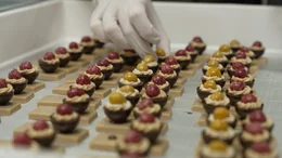 Mit viel Fingerspitzengef&uuml;hl dekorieren Chocolatiers jede einzelne Praline von Hand. Aus edlen Zutaten und kreativen Ideen entstehen in der Manufaktur kleine Kunstwerke aus Schokolade.