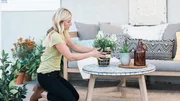 Jasmine (host) says there can never be too many plants! Adding greenery adds life and a homey feel to a newly renovated home. Jasmine (host) says there can never be too many plants! Adding greenery adds life and a homey feel to a newly renovated home.
