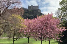Fr&uuml;hling in Edinburgh. Im Hintergrund Edinburgh Castle