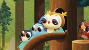 Martin, Doodle und Odo rutschen gemeinsam die neue Wasserrutsche herunter. Martin, Doodle und Odo rutschen gemeinsam die neue Wasserrutsche herunter.