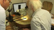 Karl-Uwe Heußner (rechts) ist Dendrochronologe beim Deutschen Archäologischen Institut. Mit einem Spezialgerät vermisst er die Abstände der einzelnen Jahresringe. Dadurch ergibt sich ein charakteristisches Muster, aus dem das Fälldatum des Baumes auf ein halbes Jahr genau ermittelt werden kann. Links: Karsten Schwanke. Karl-Uwe Heußner (rechts) ist Dendrochronologe beim Deutschen Archäologischen Institut. Mit einem Spezialgerät vermisst er die Abstände der einzelnen Jahresringe. Dadurch ergibt sich ein charakteristisches Muster, aus dem das Fälldatum des Baumes auf ein halbes Jahr genau ermittelt werden kann. Links: Karsten Schwanke.
