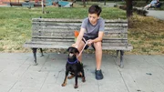 Mixi verbringt Zeit mit Probehund Kiki aus dem Tierheim. Beim gemeinsamen Üben im Park wächst langsam Vertrauen zwischen den beiden. Mixi verbringt Zeit mit Probehund Kiki aus dem Tierheim. Beim gemeinsamen Üben im Park wächst langsam Vertrauen zwischen den beiden.