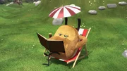Bei so sch&ouml;nem Wetter m&ouml;chte Kiwi gern in seinem Liegestuhl liegen und lesen.