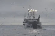 F/V Wizard at sea.
