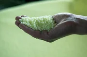 Ein Landwirt zeigt Stickstoffd&uuml;nger-Pellets (aus Harnstoff) in der ausgestreckten Hand.