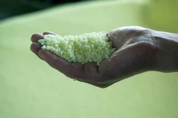 Ein Landwirt zeigt Stickstoffd&uuml;nger-Pellets (aus Harnstoff) in der ausgestreckten Hand.