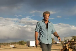 Link (Mel Gibson)