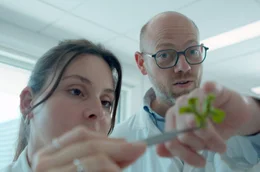 Pierre-Marc Delaux, Forschungsdirektor am Laboratoire de Recherche en Sciences V&eacute;g&eacute;tales (LRSV) bei Toulouse, und Kollegin Lucie Chauderon betrachten genetisch ver&auml;nderte Lebermoose.