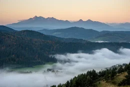Die Slowakei, eingerahmt von &Ouml;sterreich, Ungarn, der Ukraine, Polen und Tschechien, liegt im Herzen Europas, doch wissen wir wenig von diesem Staat. Welche Natursch&auml;tze das kleine Land birgt, welch spektakul&auml;re Natur und was f&uuml;r Besonderheiten aus Tier- und Pflanzenwelt, davon erz&auml;hlt der Film "Wilde Slowakei". Weiteres Bildmaterial finden Sie unter www.br-foto.de.