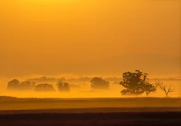 Morgenstimmung im Flachland der Slowakei.