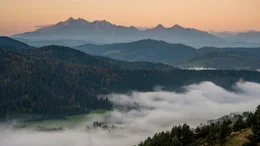Die Slowakei, eingerahmt von &Ouml;sterreich, Ungarn, der Ukraine, Polen und Tschechien, liegt im Herzen Europas, doch wissen wir wenig von diesem Staat. Welche Natursch&auml;tze das kleine Land birgt, welch spektakul&auml;re Natur und was f&uuml;r Besonderheiten aus Tier- und Pflanzenwelt, davon erz&auml;hlt der Film "Wilde Slowakei". Weiteres Bildmaterial finden Sie unter www.br-foto.de.