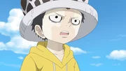 Trafalgar D. Law