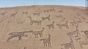 Geoglyphen in der Atacama-W&uuml;ste s&uuml;dlich der Stadt Arica im Norden Chiles. &Uuml;ber 5.000 dieser Steinzeichen gibt es in der Atacama. Entstanden sind sie zwischen 800 und 1500 nach Christus.