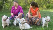Anna (rechts), Stefanie und die Westie-Damen treffen sich im Wald für eine ganz besondere Übung, bei der Anna sogar schreien muss. Anna (rechts), Stefanie und die Westie-Damen treffen sich im Wald für eine ganz besondere Übung, bei der Anna sogar schreien muss.