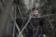 Daniele Vianello (Alessandro Roja)