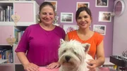 Das Fell der Westies braucht eine ganz besondere Pflege. Anna holt sich Tipps von Stefanie. Das Fell der Westies braucht eine ganz besondere Pflege. Anna holt sich Tipps von Stefanie.