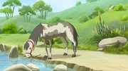 Lena und Angelo finden ein altes, ungepflegtes Pony, das entweder ausgesetzt wurde oder weggelaufen ist.