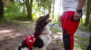 Suchhundestaffel Linz beim Training. Suchhundestaffel Linz beim Training.