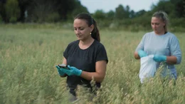 PFAS-Untersuchung auf Feldern in Rastatt &ndash; Deutschland. In Rastatt am Rhein kontaminieren die Ewigkeitschemikalien jahrelang unbemerkt landwirtschaftliche Fl&auml;chen.