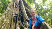 Nina am Fuß einer riesigen Würgefeige. Nachts tauchen an diesem Baum gern Wickelbären auf. Nina am Fuß einer riesigen Würgefeige. Nachts tauchen an diesem Baum gern Wickelbären auf.