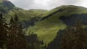 Die Untere L&auml;rchenbergalm in den Kitzb&uuml;heler Alpen liegt auf 1540 Metern.