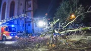 Firefighters are removing a fallen tree. Firefighters are removing a fallen tree.