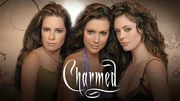 8. Staffel
