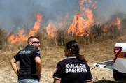 Chicco Alfano vom Zivilschutz in Palermo koordiniert die Einsatzkräfte bei einem Flächenbrand. Chicco Alfano vom Zivilschutz in Palermo koordiniert die Einsatzkräfte bei einem Flächenbrand.