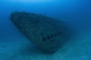 Der Bug des U-Boots Balao, USS Pilotfish. (National Geographic/Andrew Fock) Der Bug des U-Boots Balao, USS Pilotfish. (National Geographic/Andrew Fock)