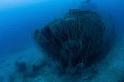 Der Bug der USS Gilliam, des Schiffes, das zuf&auml;llig der Nullpunkt von Test Able war (National Geographic/Andrew Fock)