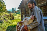 Marco Giovanoli mit einer seiner Kühe. Marco Giovanoli mit einer seiner Kühe.