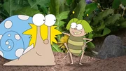 Kalli-Schnecke findet es sehr gemütlich, mit seinem Haus herumzuschnecken. Kalli-Schnecke findet es sehr gemütlich, mit seinem Haus herumzuschnecken.