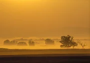 Morgenstimmung in der Slowakei. Morgenstimmung in der Slowakei.