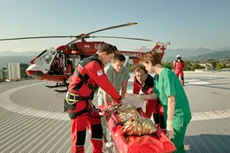Ken Duken (Dr. Markus H&ouml;chstmann), Simon Hatzl (Notarzt), Julia Koschitz (Dr. Lydia Martischek)